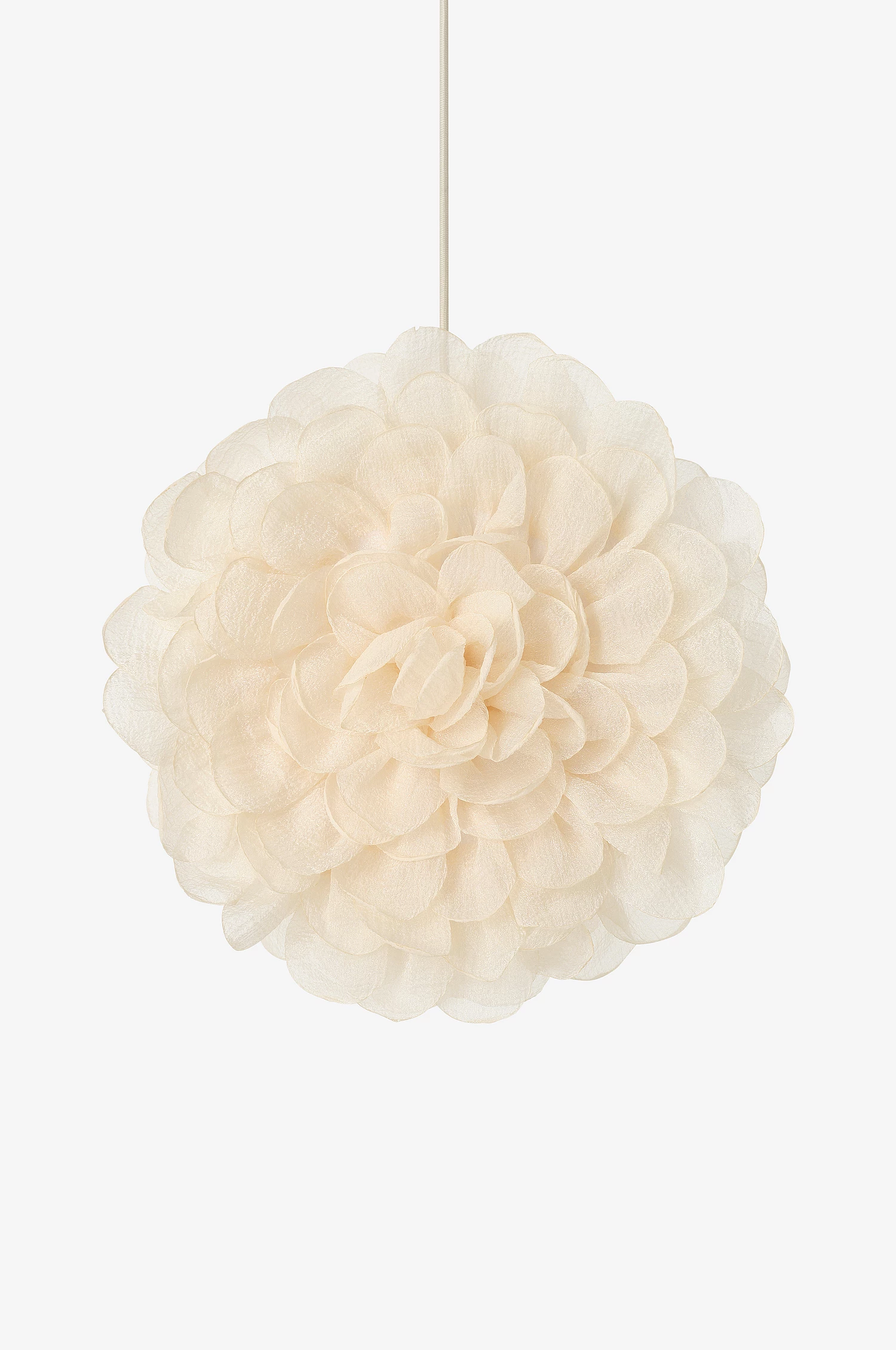 Adventstjärna Dahlia